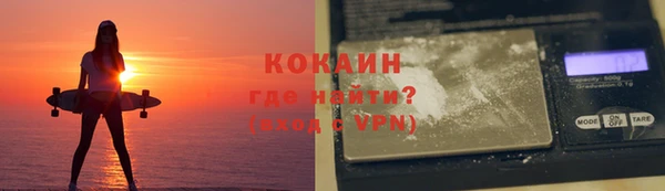 сатива Куйбышев