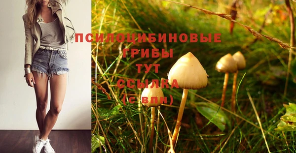 spice Кулебаки