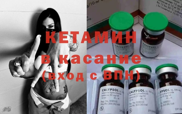 сатива Куйбышев