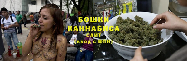 сатива Куйбышев